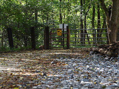 A view of the Chessie Trail