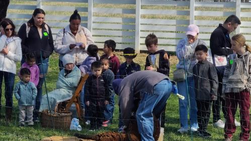History Day at the Virginia Museum of the Civil War.
