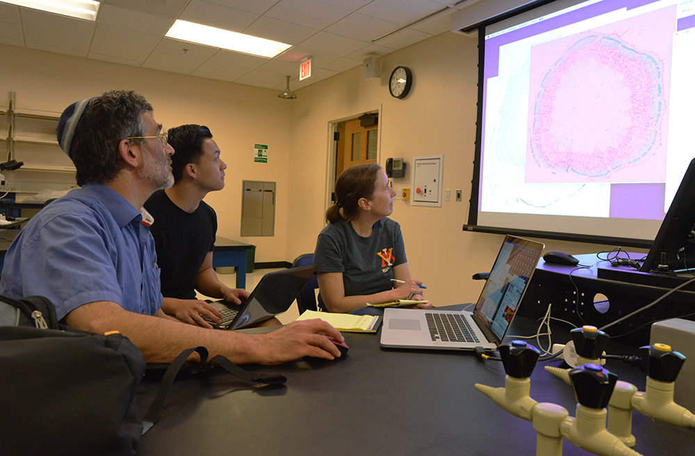 Dr. Aryeh Weiss. Anthony Tran '17, and Lt. Col. Anne Alerding look at an image of a soybean stem.