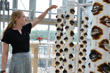Anne Townsend ’24 demonstrates how her vertical hydroponics systems works to grow lettuce for VMI.—VMI Photo by Marianne Hause.
