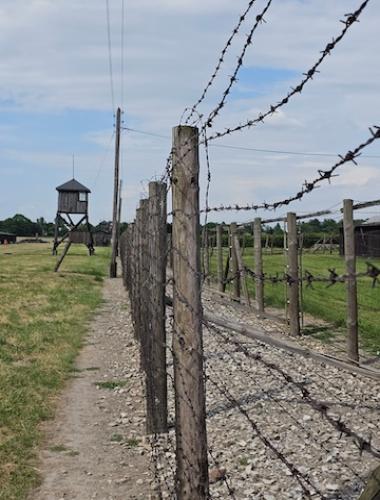 Barbed wire fences still stand at Majdanek death camp