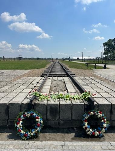 Flowers and wreaths lie in honor of those who lost their lives, following a memorial ceremony at Auschwitz.