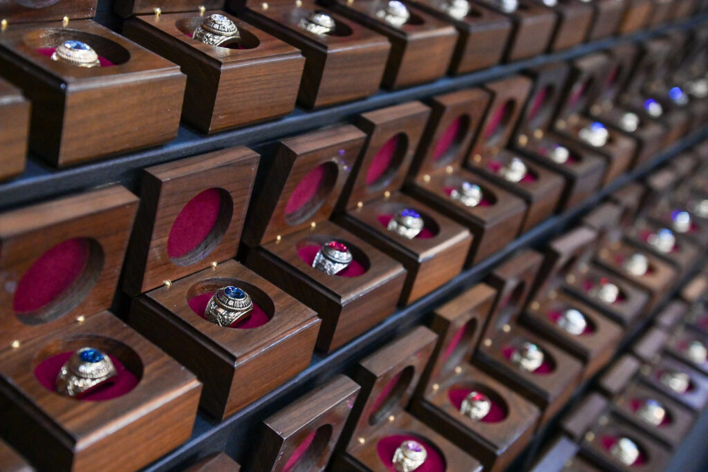 Rings on display for VMI Ring Figure.