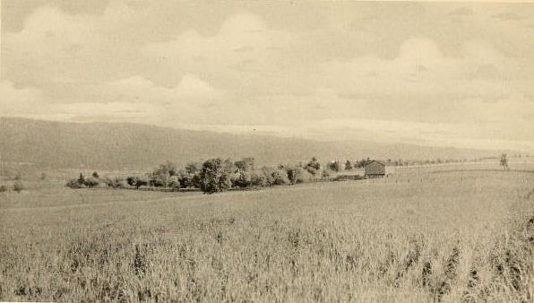 1912 Photo of Bushong Farm showing large hill.