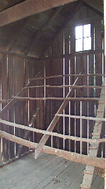 Interior of the hen house